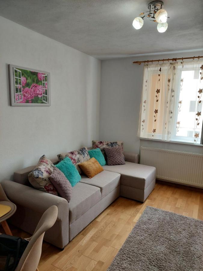 Apartament Ambrus Σιγκισοάρα Εξωτερικό φωτογραφία