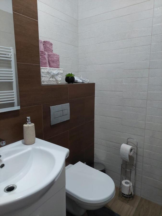 Apartament Ambrus Σιγκισοάρα Εξωτερικό φωτογραφία
